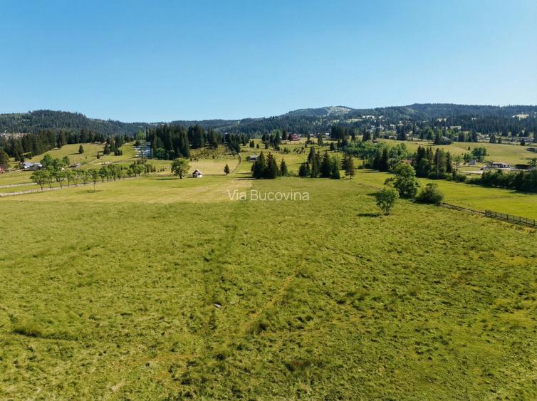 Vanzare 16700 - 9 loturi - Plaiul Sarului la sosea- microdezvoltare langa oras - 20