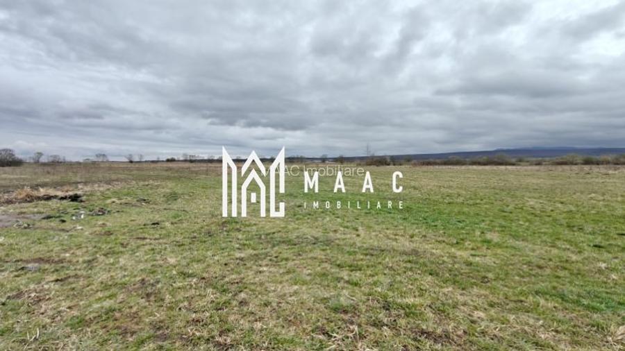 Teren extravilan I 2400 mp I Arabil I Teren drept I Cristian - 2