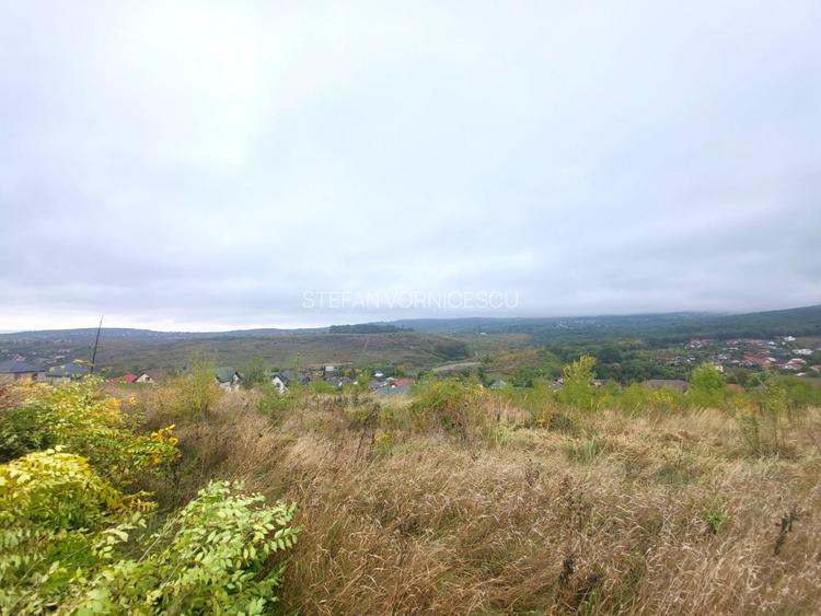 Teren de vanzare Barnova, cu priveliste Vanzare imediata - 5