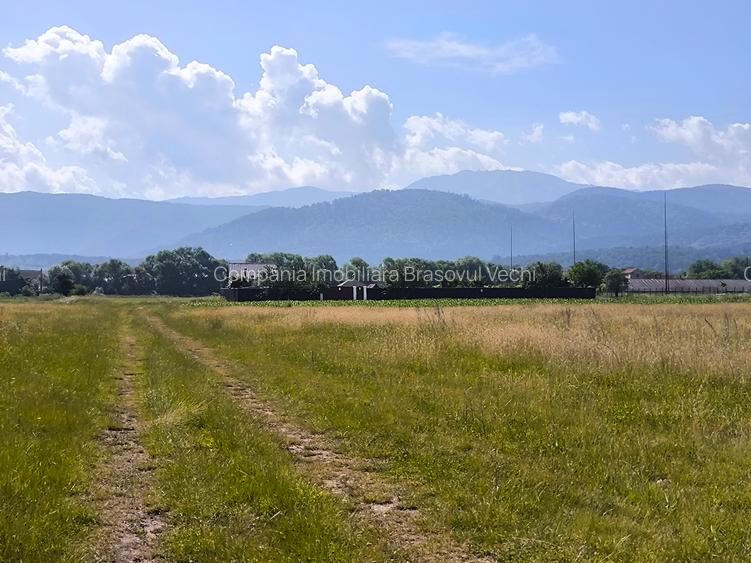 Teren - lot de casa in Cristian - Brasov. - 6