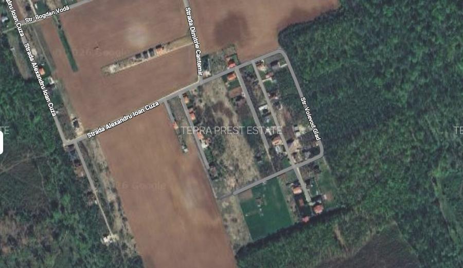 800 mp padurea Snagov Ciofliceni l utilitati la strada - 8