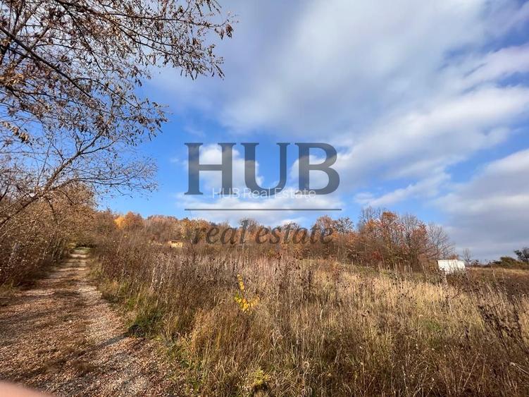 TEREN 1095MP -PODIS -DN 2G- BACAU -MOINESTI - 2