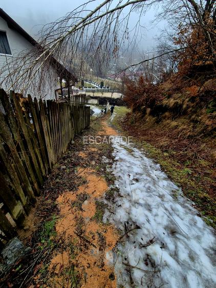 Teren intravilan Simon/Bran, 4318 mp , casuta intabulata, utilitati - 38
