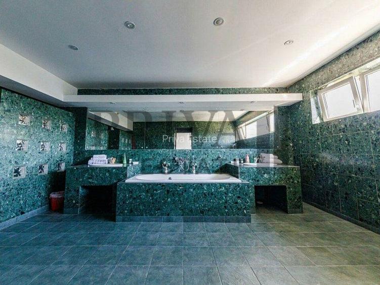 Pensiune cu piscină / Clinica medicala / Azil / Locuit in Timisoara - 18