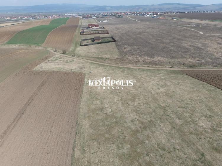 Teren Bod 1200mp/ 37 euro mp - 5