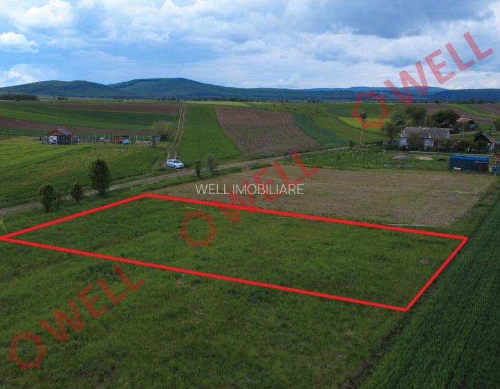 Teren intravilan de vânzare în Dobolii de Jos! - 2