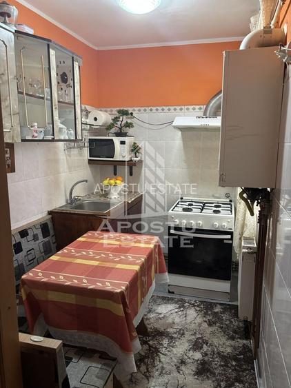 Apartament 1 camera, decomandat, etaj intermediar,centrala Buziașului - 4