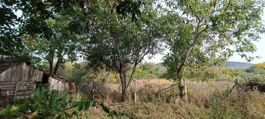 🏡  Casă de Poveste în Șiria, Arad- Locație Rară - 13