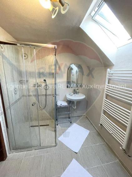 Vila  de vacanta Sibiel - 9