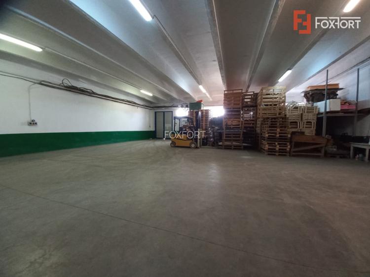 Hala industriala 1.411 mp, teren 2.068 mp - Acces TIR, Freidorf - 11