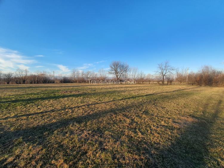 Teren intravilan Bran – Sohodol zona de case - 2