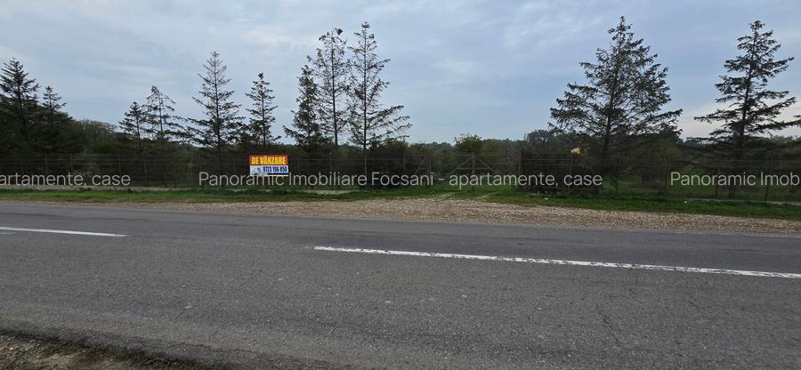 LIVADA  DE VANZARE FOCSANI-DUMBRAVITA  1,8  HA - 33