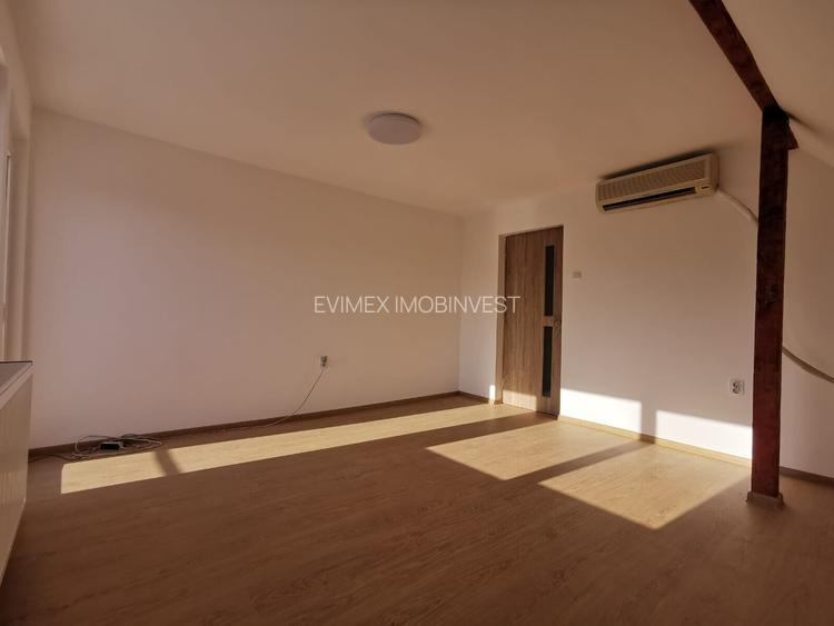 COLENTINA -Dobroesti 5 Camere Vila La Curte - 11