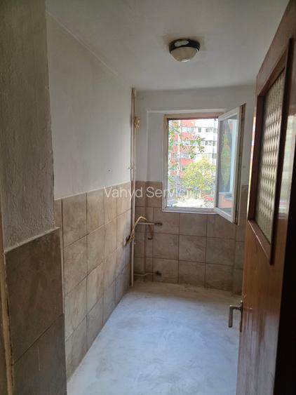 Lacul Tei  Teiul Doamnei  Colentina - 6