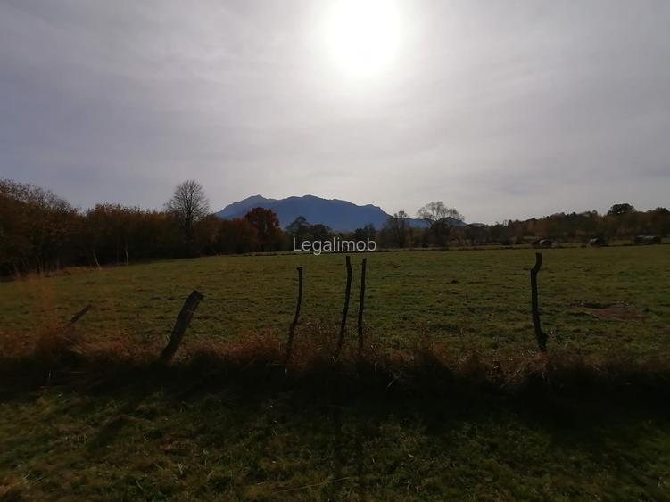 Teren in Sohodol-Bran - 4