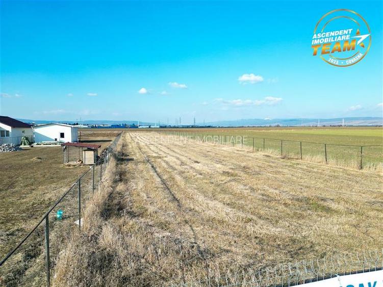 Liniste si aer curat in proximitatea Municipiului Sfantu Gheorghe - 19