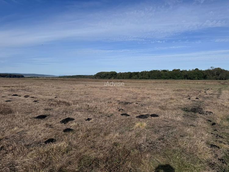 Teren de vanzare in Harman 4,4 Hectare - 11