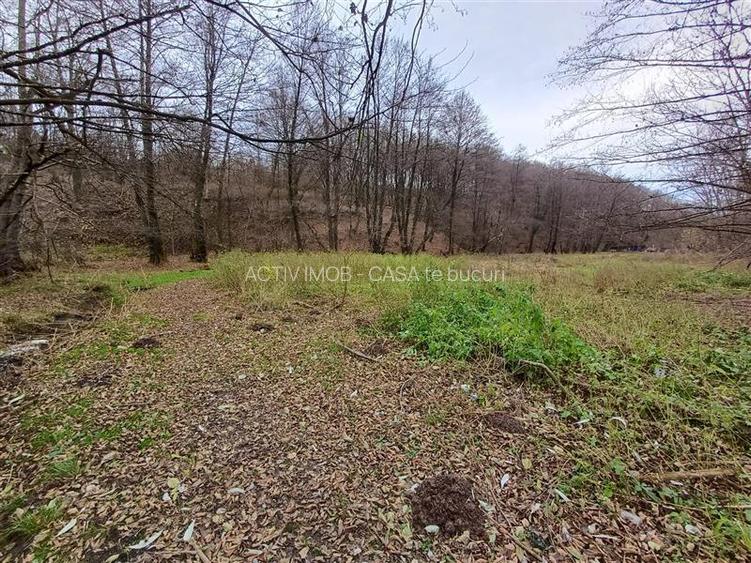 Resita, Teren Drept Intravilan, Langa Prau si Drum, 1308 Mp., 15 Euro Mp., Renk - 12