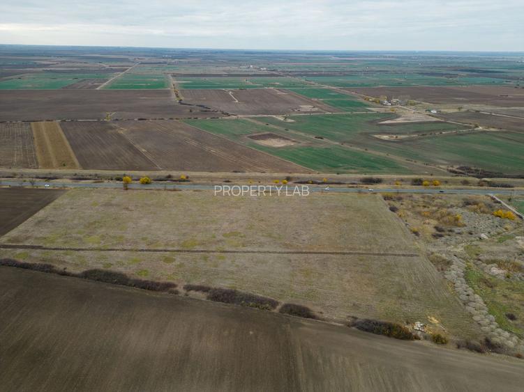 Teren 22.500 mp – Pecica, jud. Arad - 8