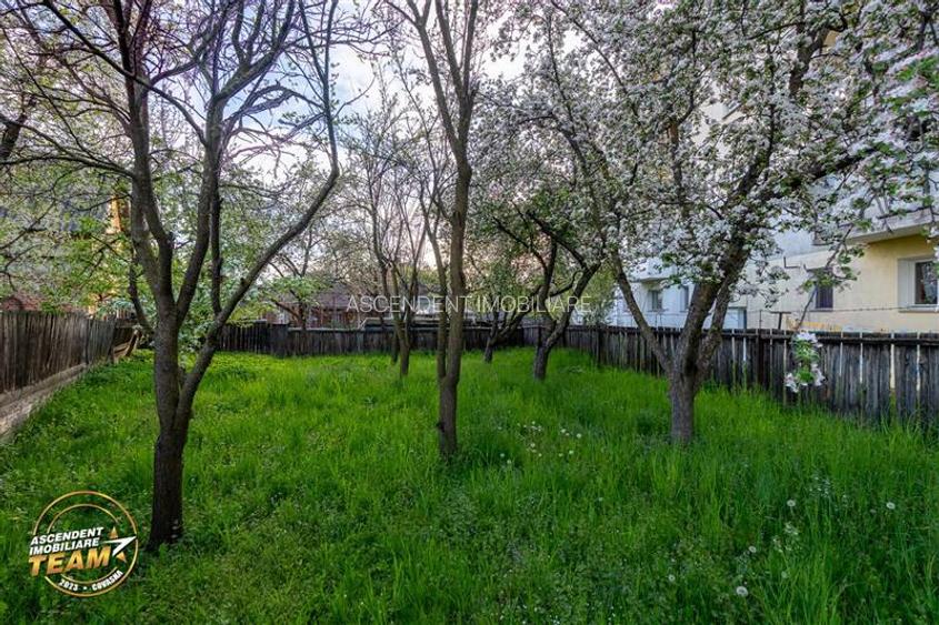 Casa in inima statiunii Covasna, cu gradina, vie si pomi fructiferi - 19