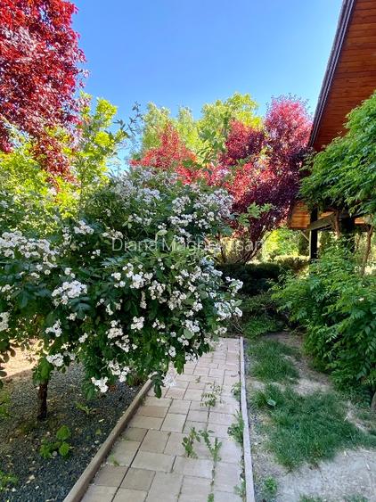 Direct de la proprietar vilă  individuala cu gradina in zona linistita - 9