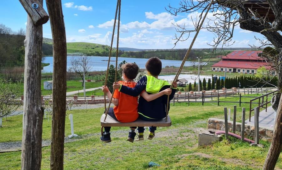 Domeniul Herneacova - 15