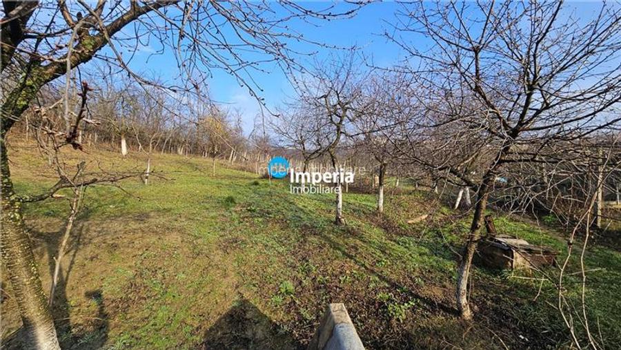 Casa plan parter cu 2700 mp teren in Iasi zona Bucium Hill Center - 10