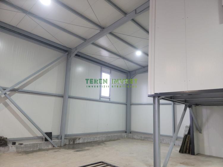 Hala depozitare -  Cernica – Theodor Pallady - 13