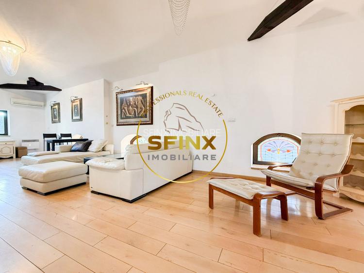 Vanzare zona Armeneasca,Casa eclectica sec XX,curte individuala,3 niveluri 295mp - 23