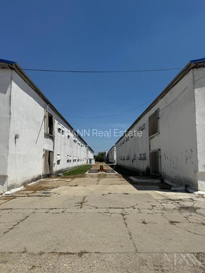 Hala | Spatiu depozitare, productie de inchiriat | Les, Bihor - 4