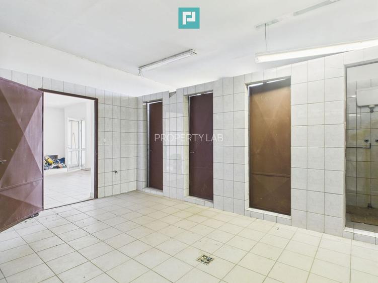 Hale 1800 mp fiecare – acces autostradă, Teiu, HD - 12