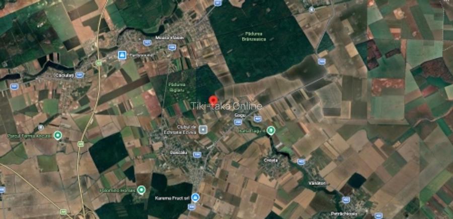 Teren de vanzare in Ilfov, Gagu, deschidere 74ml, 20762mp, 124.572euro - 2