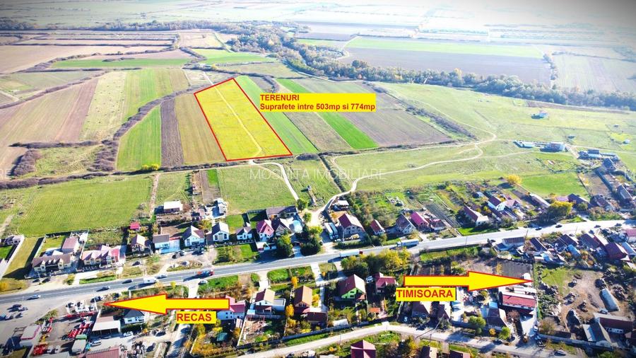 Terenuri Remetea Mare, cu toate utilitatile - 69euro/mp+TVA - 3