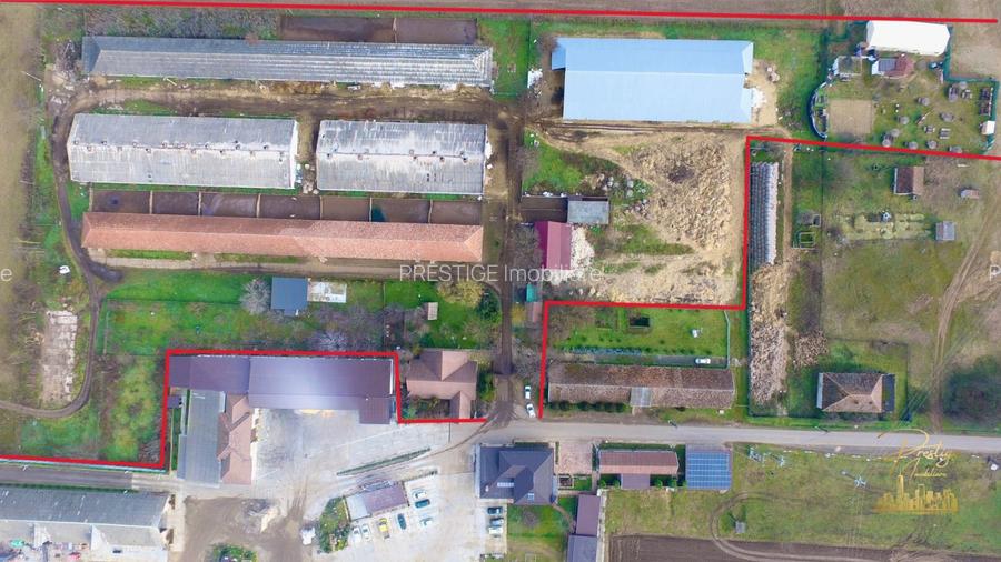 Domeniu - Centru de colectare, 7 ha de vanzare in Valea lui Mihai - 9