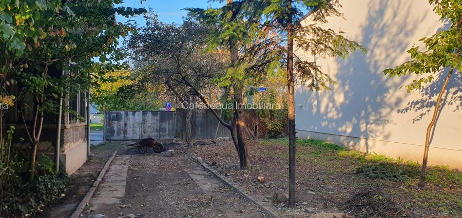 Casa Ploiesti-Toma Ionescu - 3