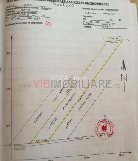 Comuna Dascalu - A0 - teren intravilan 9000 mp - 6