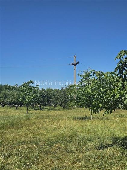 TEREN INTRAVILAN DEVANZARE 33161 MP DE VANZARE TARGU OCNA - 5