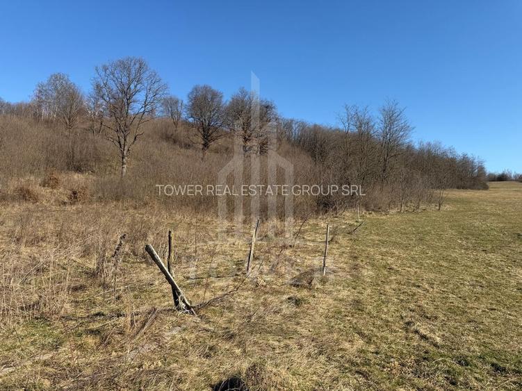 Teren EXTRAVILAN de vânzare în Săcel - 6