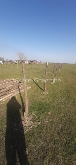 Vînd parcele pe luciam blaga - 2