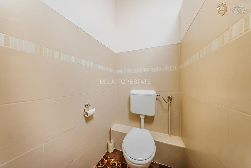 Spatiu comercial de inchiriat - 11