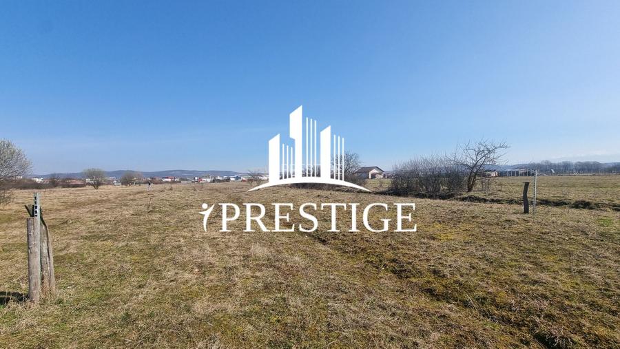 TEREN DE VÂNZARE 1000 MP ȘELIMBĂR ZONA TROIȚĂ | INVESTIȚIE - 4