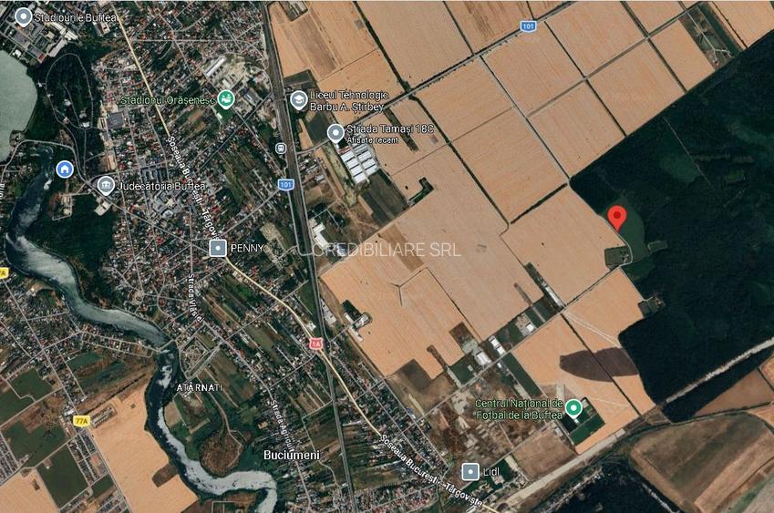 Vând teren construibil 1000 mp lângă pădure Buftea - 2