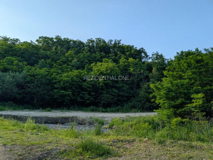 Sarata Bai- Oportunitate investitie- 4038 mp- priveliste spectacol - 7