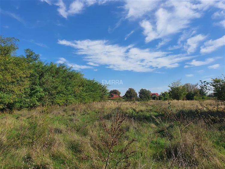 Teren de vanzare in Hemeius Margineni, judetul Bacau - 4