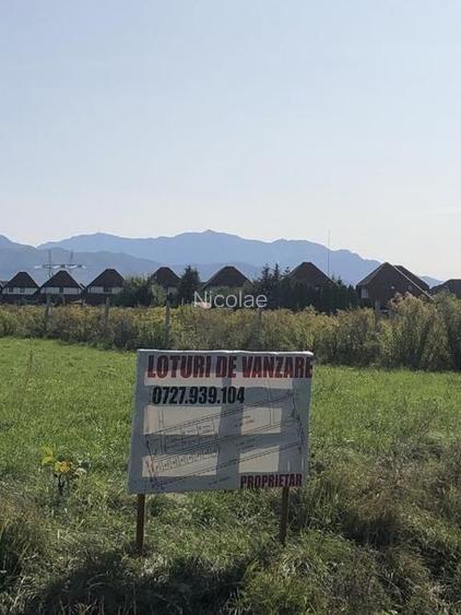 500 mp in Stupini str Bressan  - 3