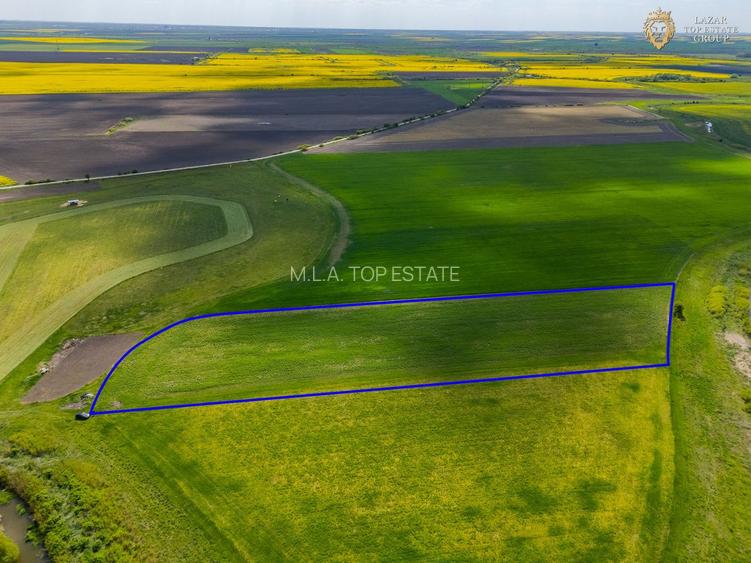 Teren Extravilan localitatea Turnu - 2