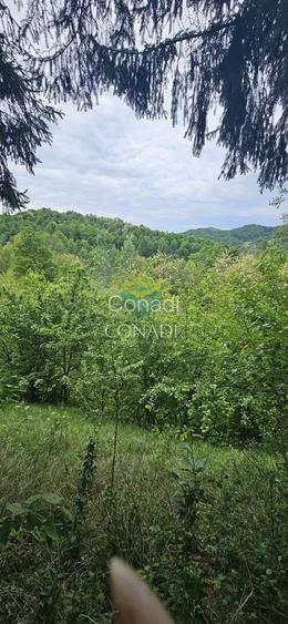 Teren Breaza  800mp pe colina priveliste superba - 16