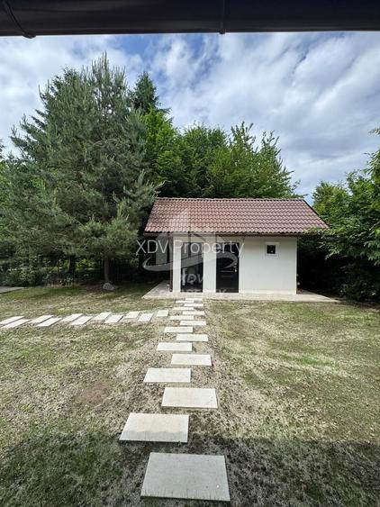 Pensiune/ Vila Valea Avrigului - 23