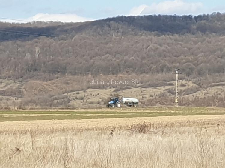 TEREN AGRICOL BABENI LANGA ABATOR LA PROVINCIA - pretabil ferma cu panour solare - 31