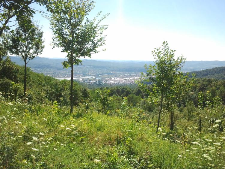Teren livadă cu panoramă superbă Dealul Malului pentru casă sau cabană - 18
